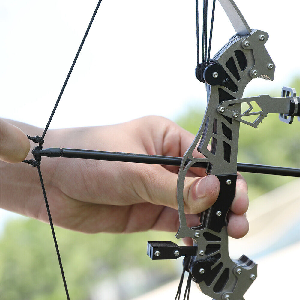 16" Mini Compound Bow Kit 16lbs Archery Gift Arrows Target Shooting Game Bow