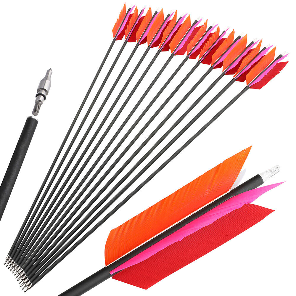 12pcs 30" Carbon Arrows 4"  Feather SP500 Bow Hunt Archery Shoot Target