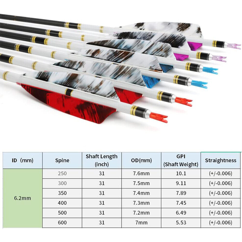 12pcs 31" Archery Pure Carbon Arrows SP250-600 4" Natural Feathers Bow Hunting Target