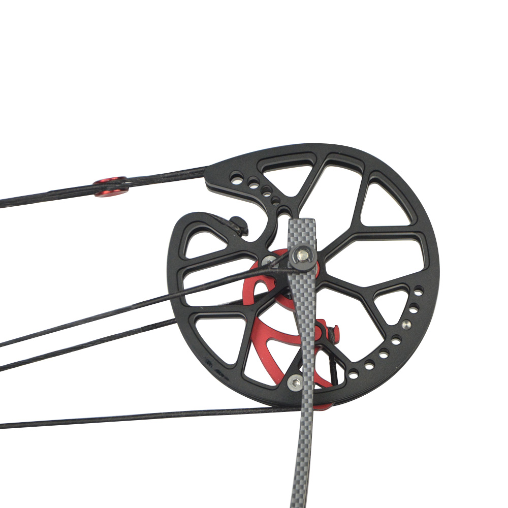 Archery 30-60lbs Dual -ues Compound Bow Set RH/LH 