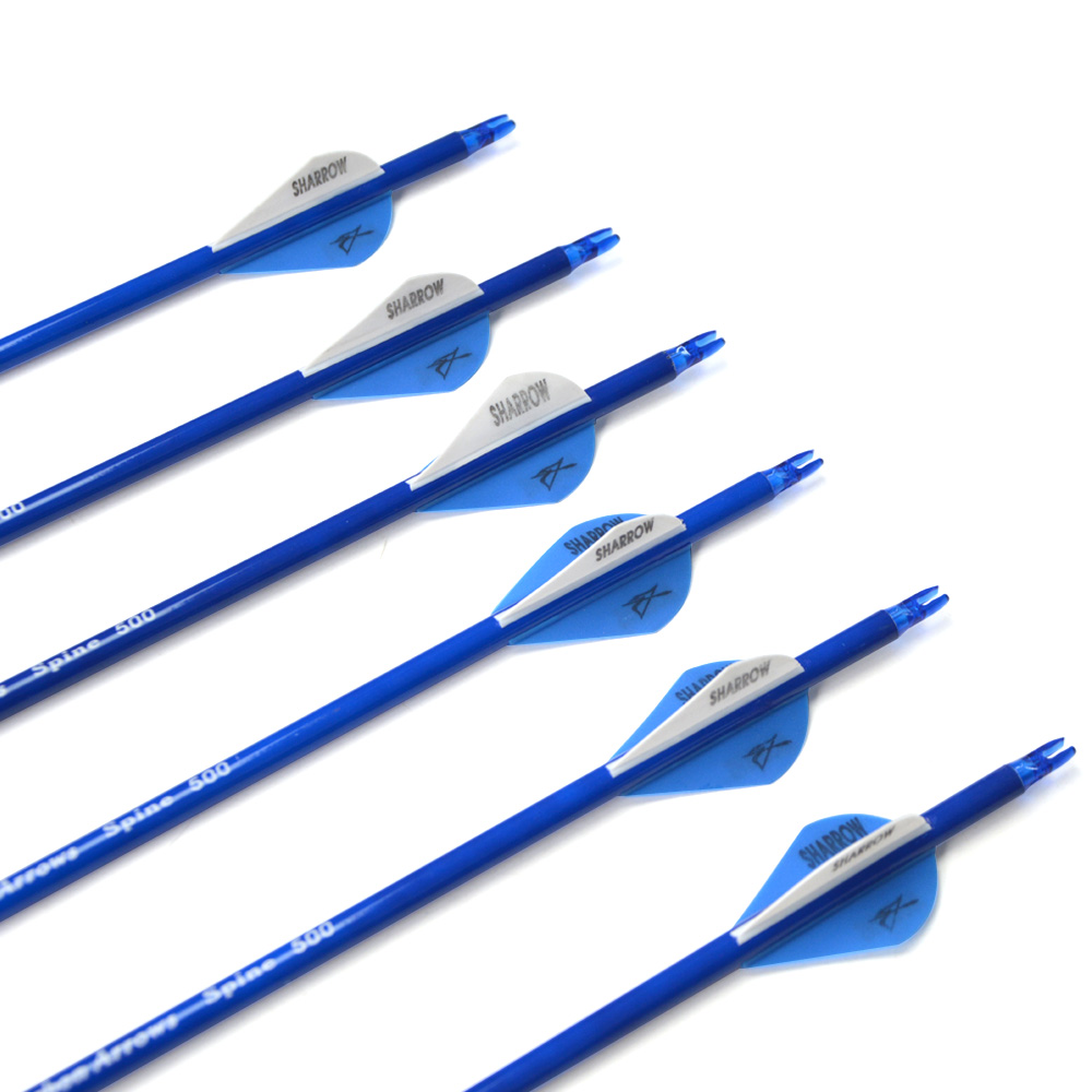 12pcs Colorful Carbon Arrows with 2-inch Rubber Fletching