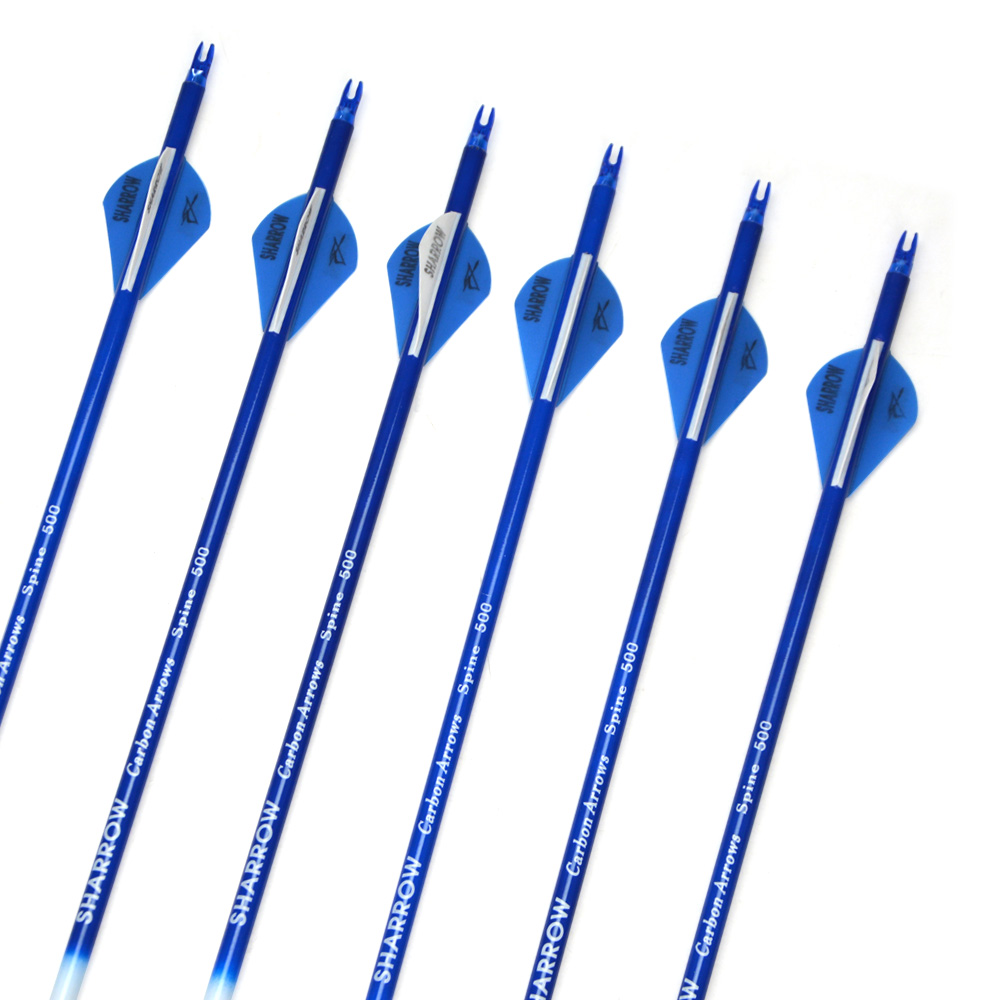 12pcs Colorful Carbon Arrows with 2-inch Rubber Fletching