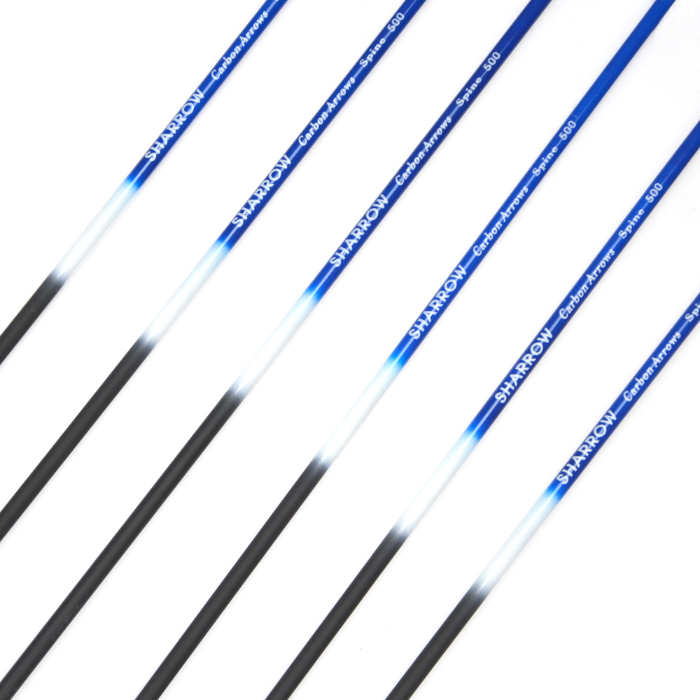 12pcs Colorful Carbon Arrows with 2-inch Rubber Fletching