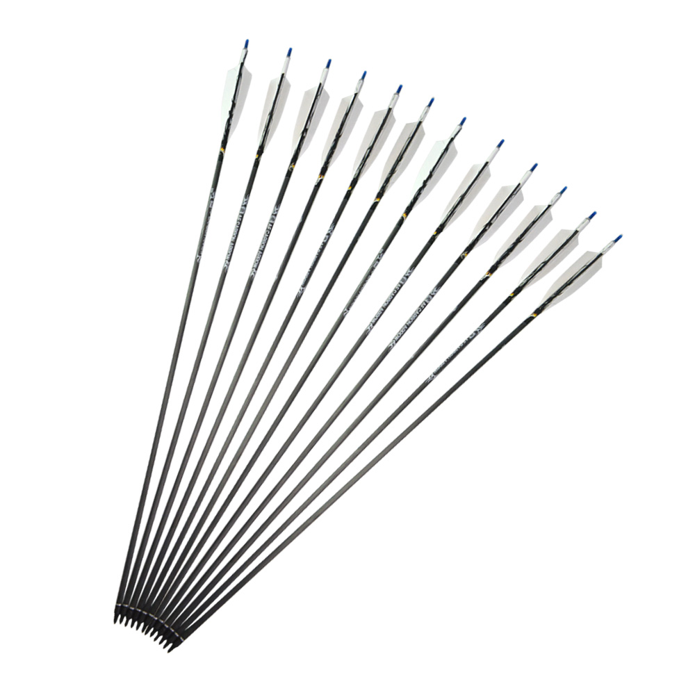 6pcs AF 500 Spine Pure Carbon Arrows – 23g with Steel Tip