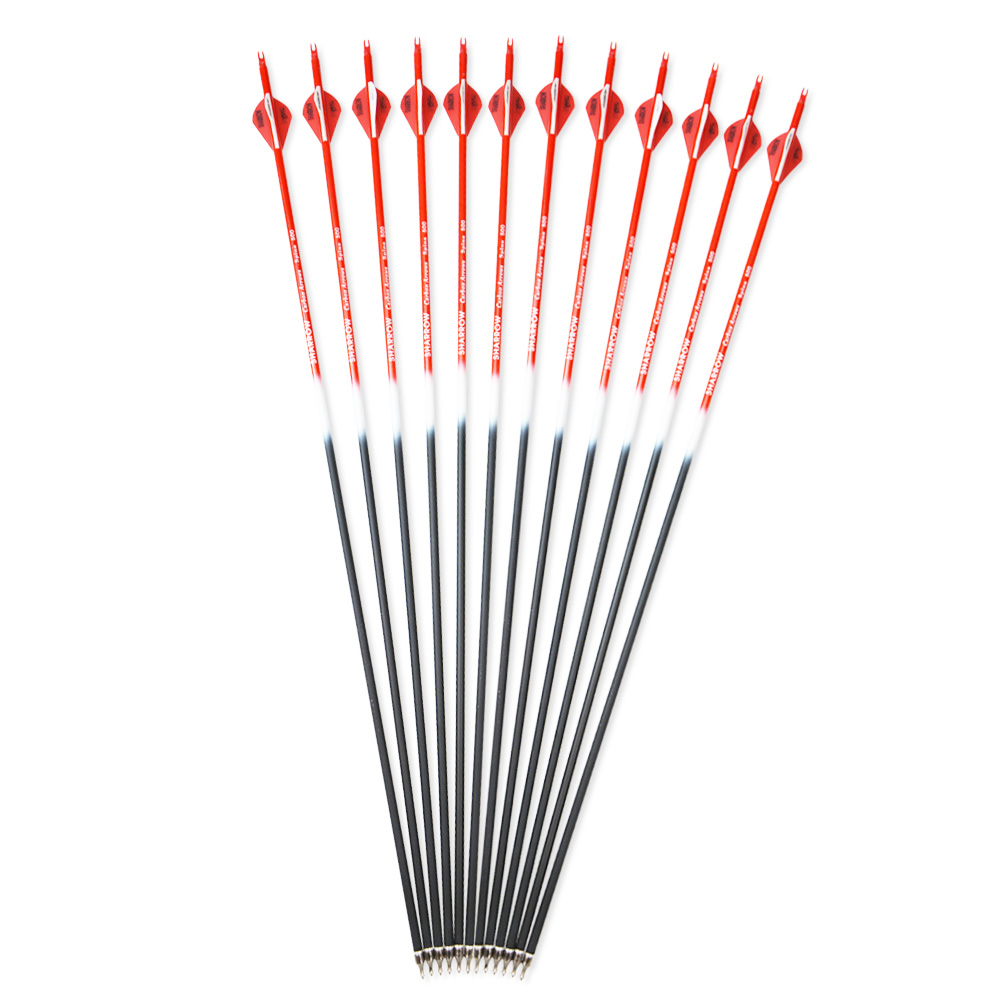 12pcs Colorful Carbon Arrows with 2-inch Rubber Fletching