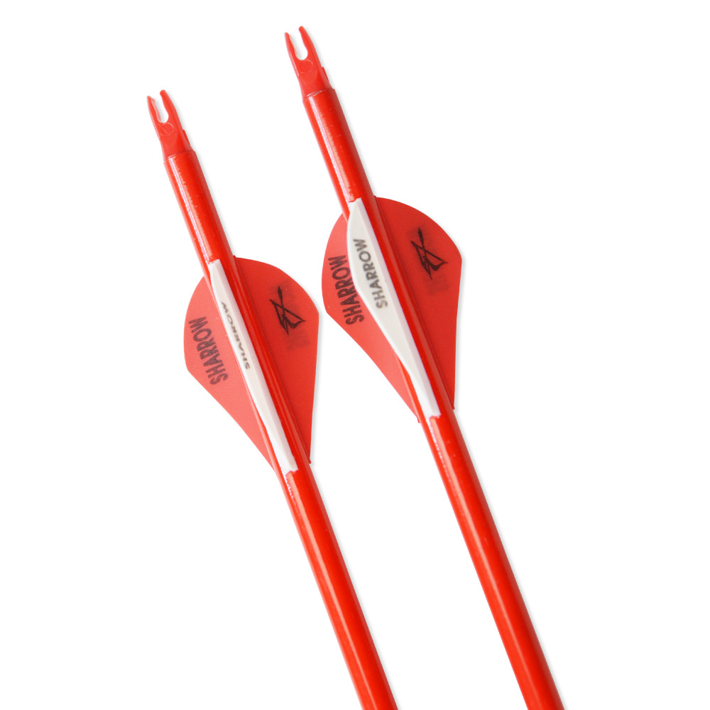 12pcs Colorful Carbon Arrows with 2-inch Rubber Fletching