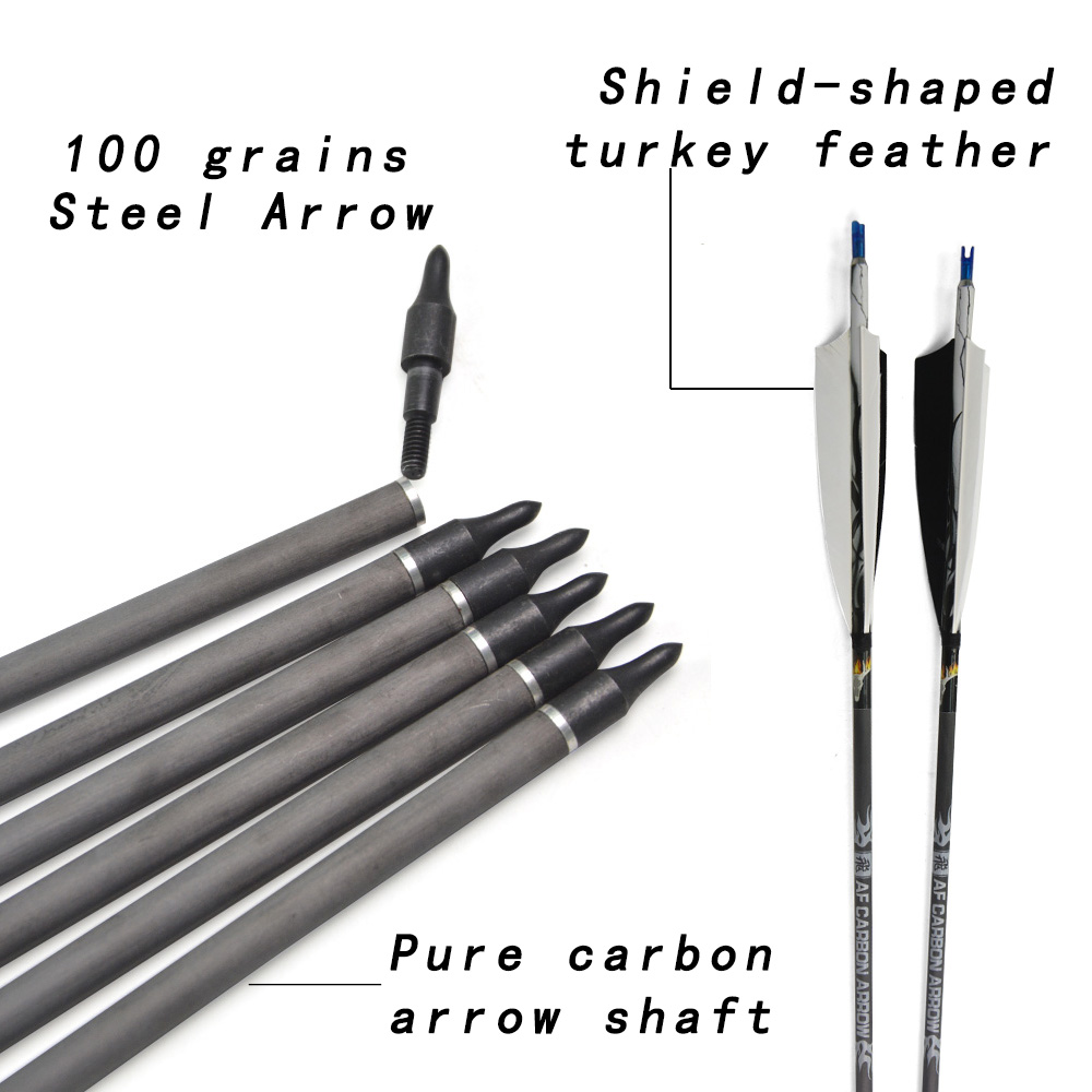 6pcs AF 500 Spine Pure Carbon Arrows – 23g with Steel Tip