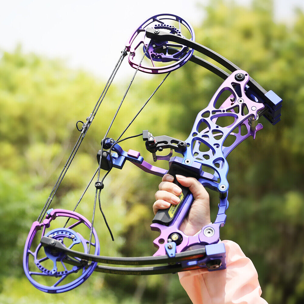 35-70lbs Compound Bow Steel Ball Arrows Dual-use Archery Hunting Fishing RH LH