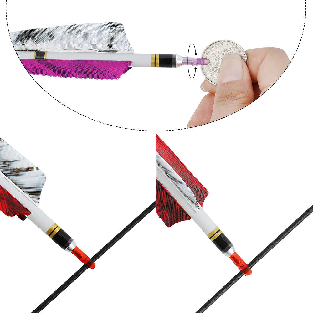 12pcs 31" Archery Pure Carbon Arrows SP250-600 4" Natural Feathers Bow Hunting Target