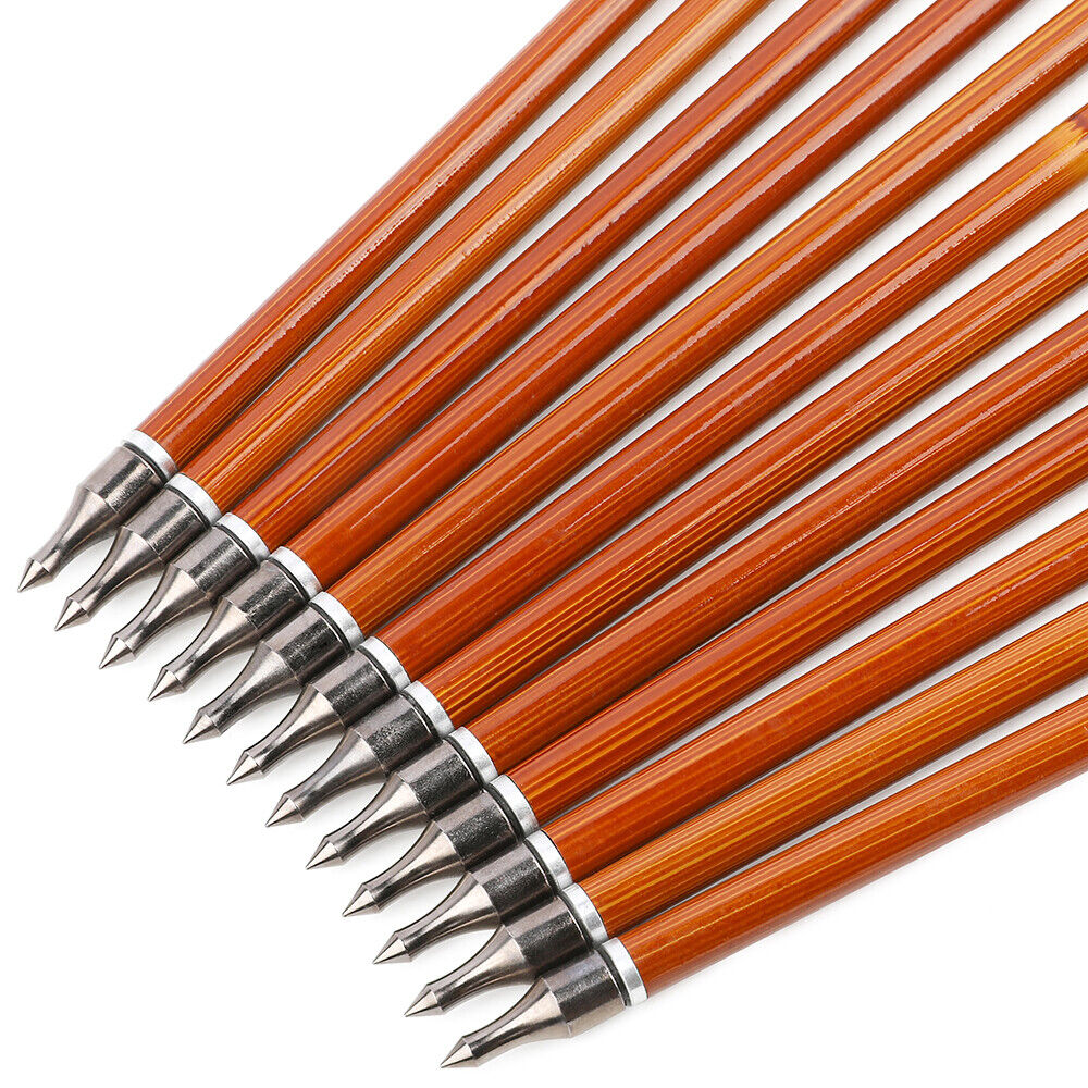 12pcs Archery 30" Carbon Arrows 4" Feathers SP500 Compound Recurve Bow Target Hunting