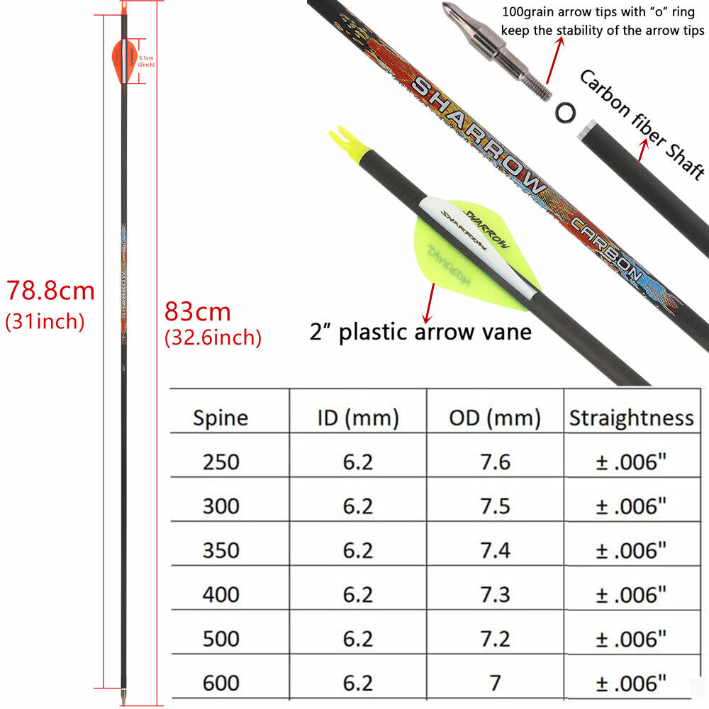 12pcs 31" Pure Carbon Arrows Archery SP250-600 Vanes Compoundbow Recurve Bow Hunting