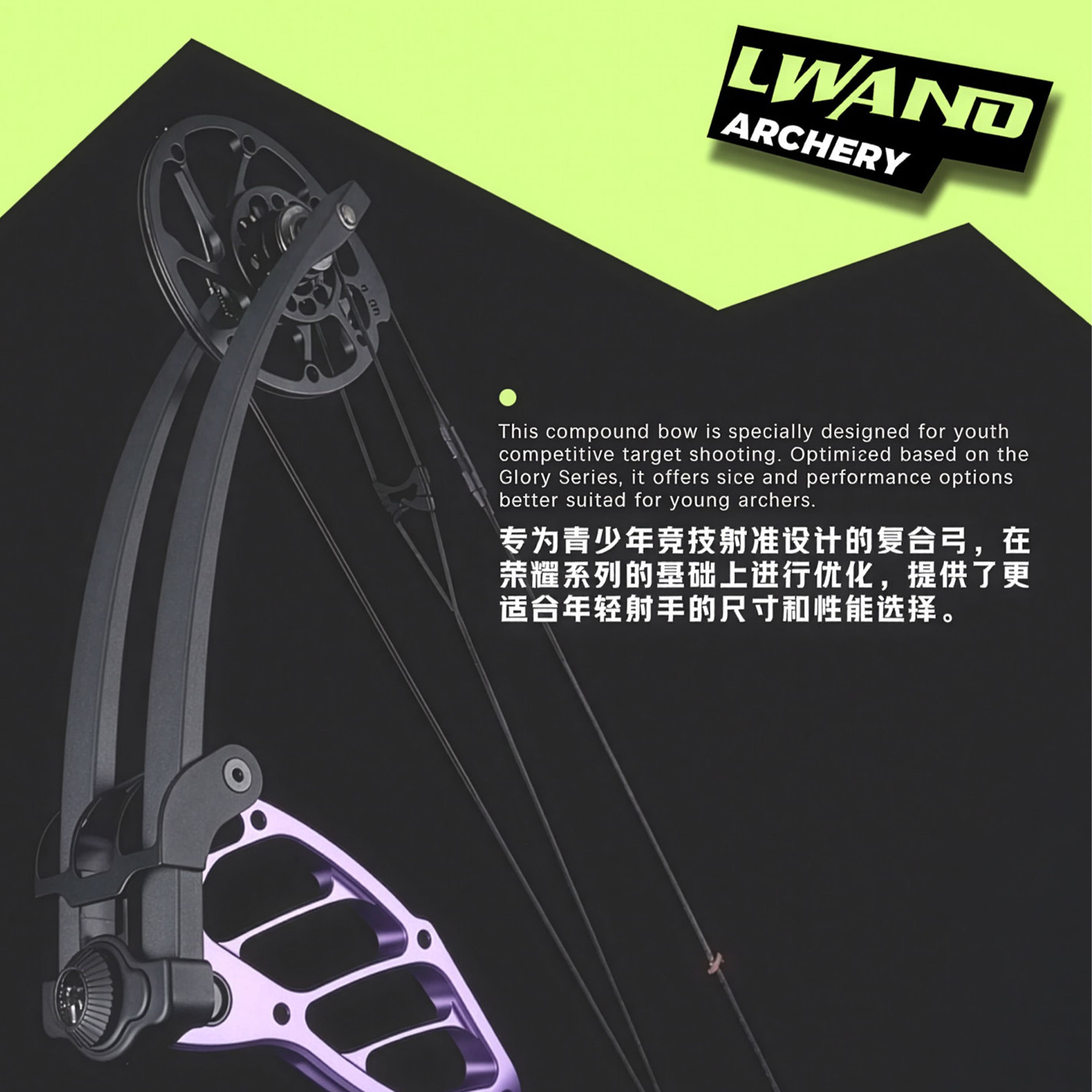 LWANO Compound Bow 15-30Lbs Kit Shooting Archery Youth Bow