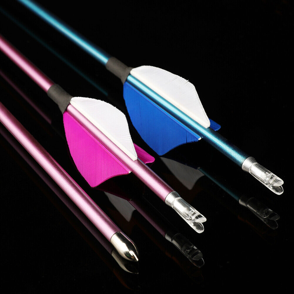 12pcs 31" Pure Carbon Arrows SP400-1000 Feathers Archery Bow id4.2mm Hunting Target Shooting