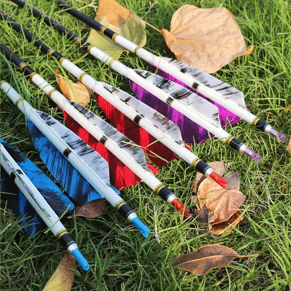 12pcs 31" Archery Pure Carbon Arrows SP250-600 4" Natural Feathers Bow Hunting Target