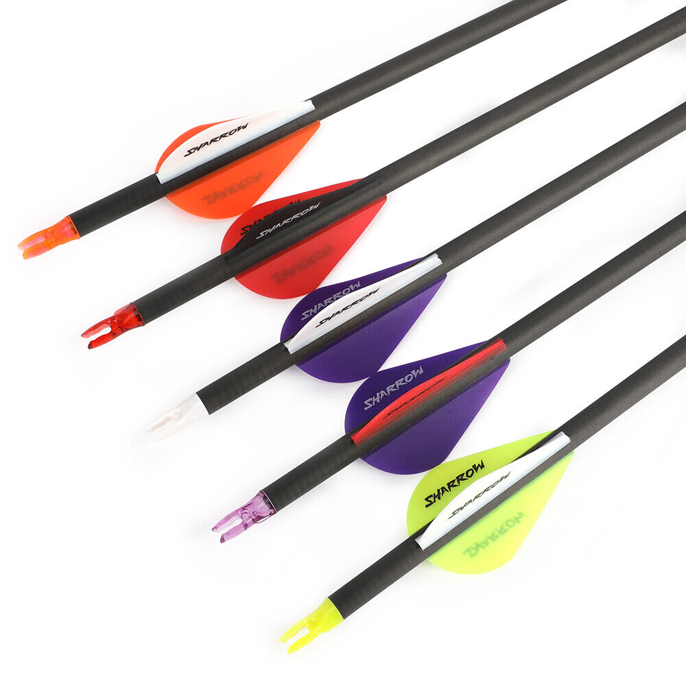12pcs 31" Pure Carbon Arrows Archery SP250-600 Vanes Compoundbow Recurve Bow Hunting