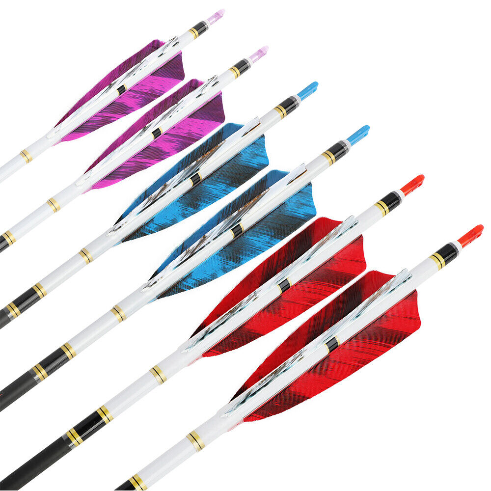 12pcs 31" Archery Pure Carbon Arrows SP250-600 4" Natural Feathers Bow Hunting Target