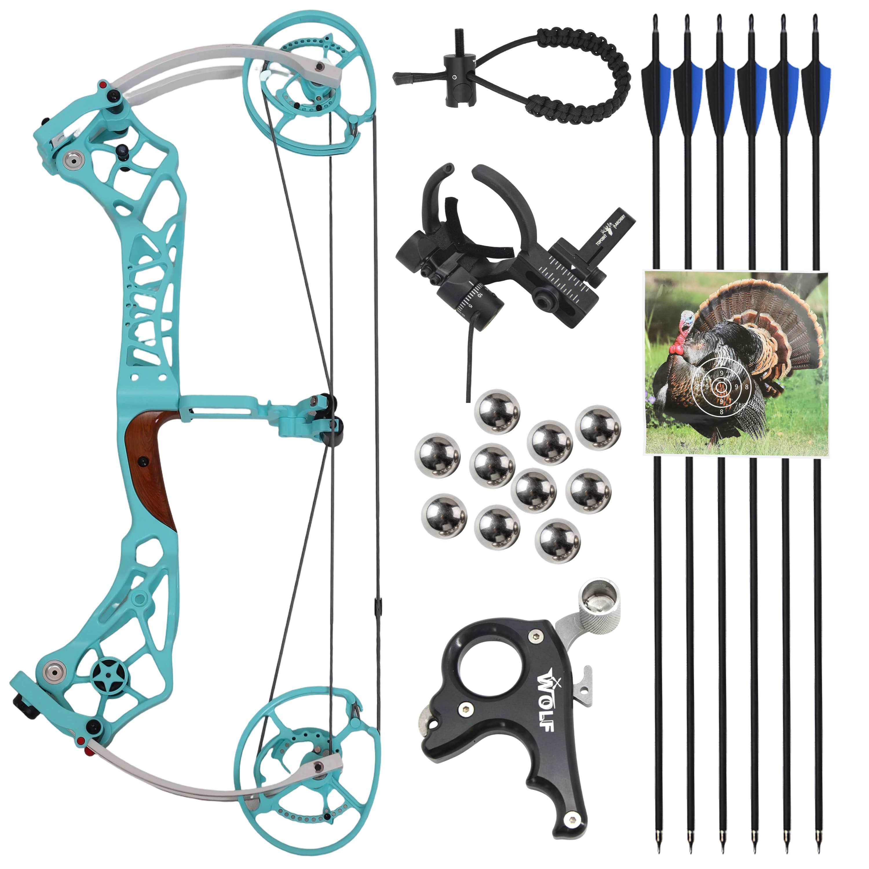 SHARROW 40-75lbs Compound Bow Kit Shooting Target Archery