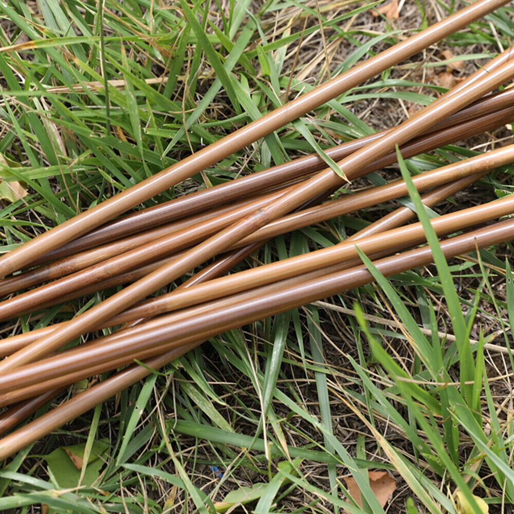 12pcs 33'' Archery Bamboo Arrow 4 Feather Longbow Traditional Recurve Bow Tips Hunting