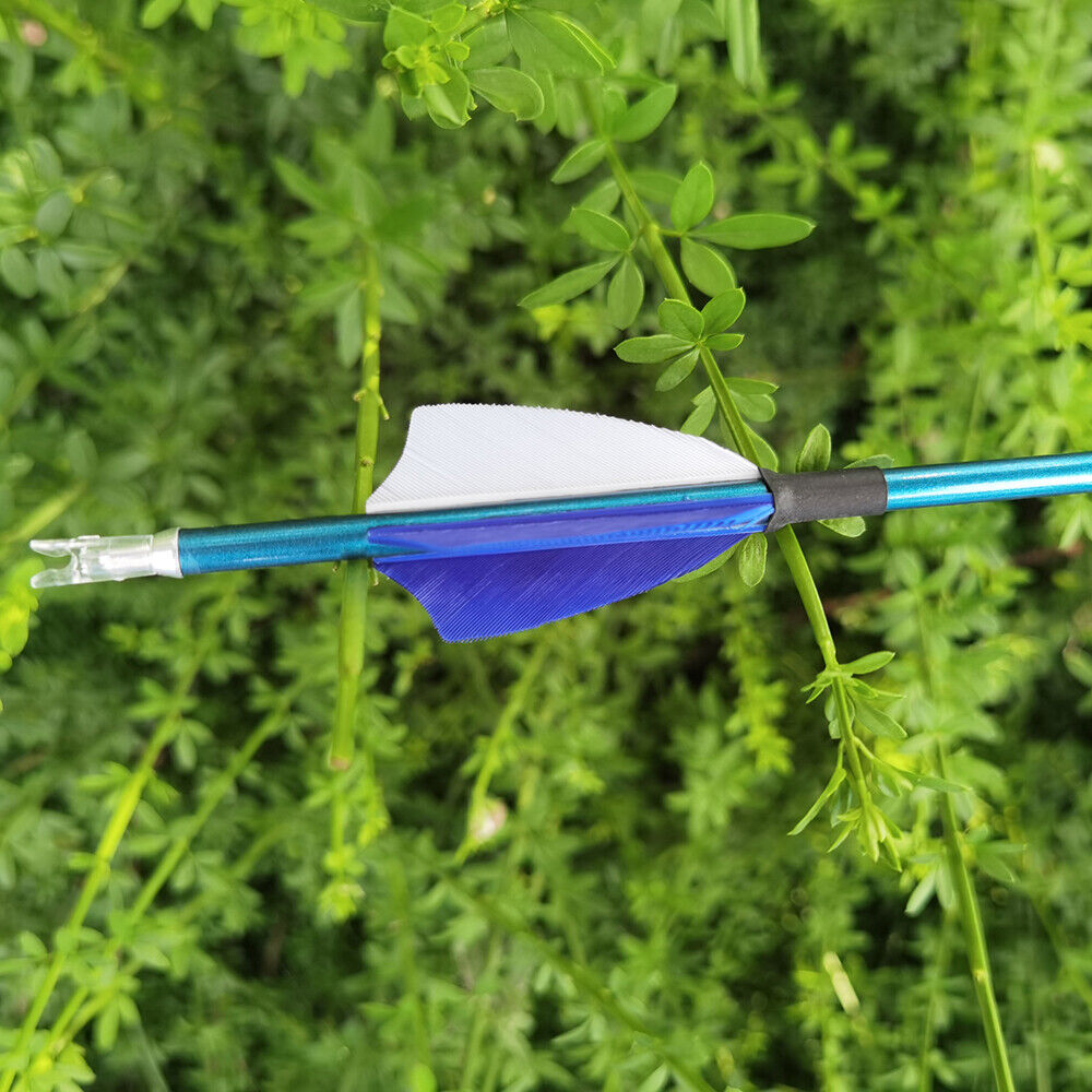 12pcs 31" Pure Carbon Arrows SP400-1000 Feathers Archery Bow id4.2mm Hunting Target Shooting