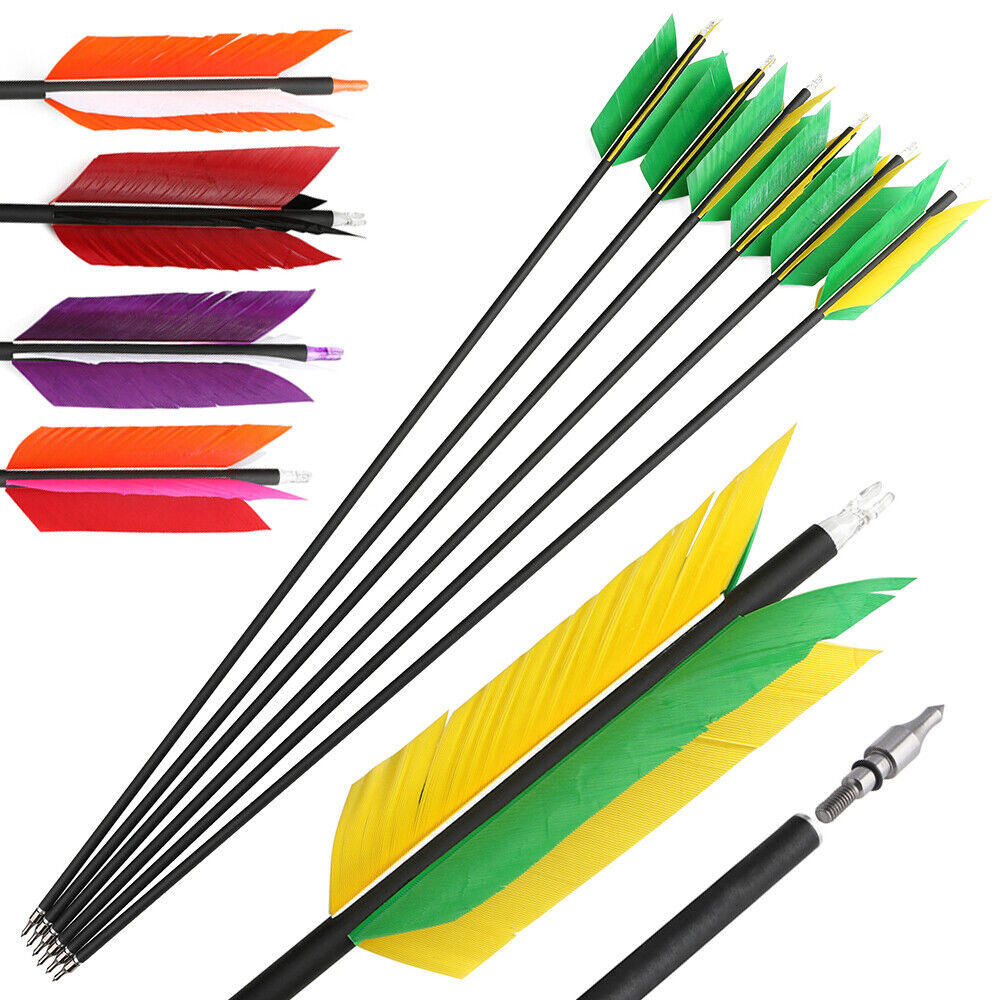 12pcs 30" Carbon Arrows 4"  Feather SP500 Bow Hunt Archery Shoot Target