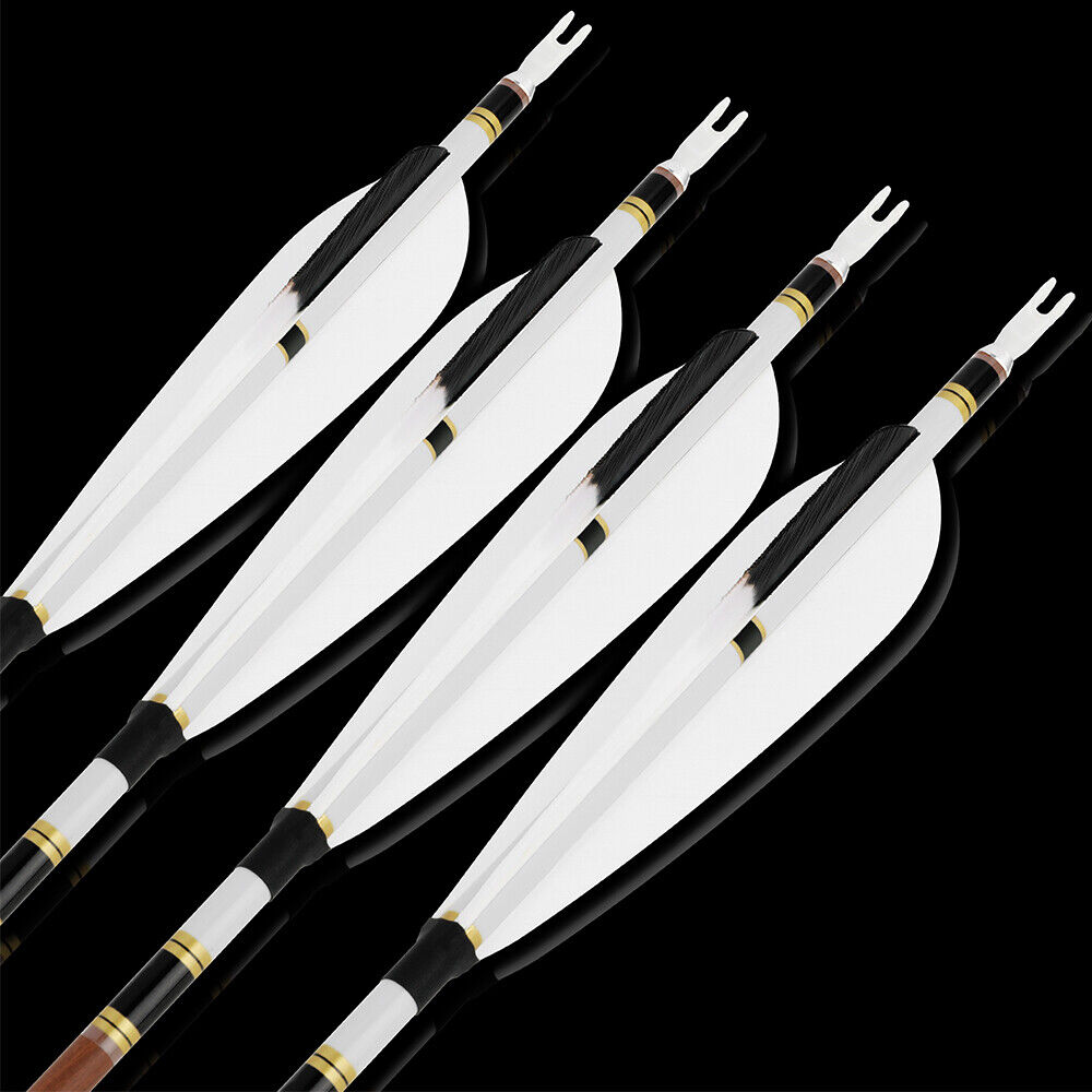 12pcs 31" Pure Carbon Arrows Archery SP340-600 Screw Tips Compound Recurve Bow Hunting