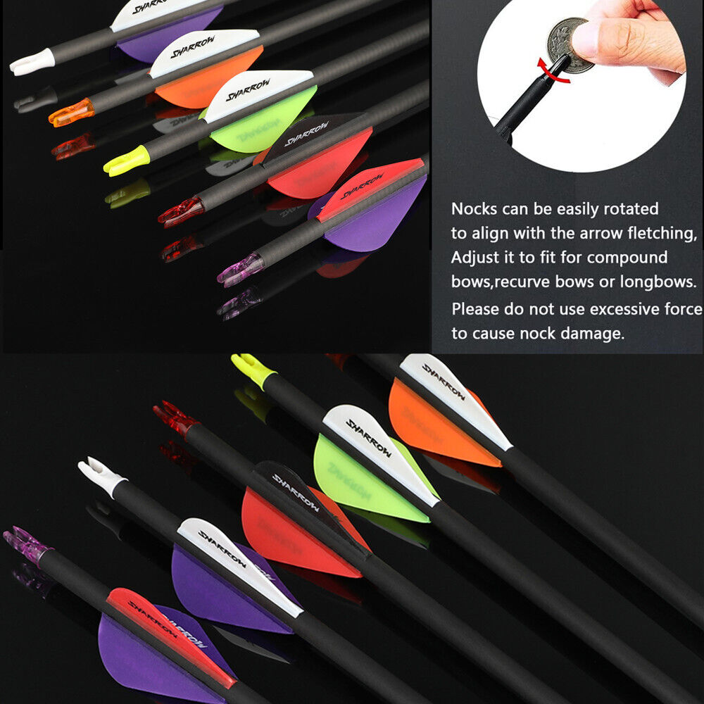 12pcs 31" Pure Carbon Arrows Archery SP250-600 Vanes Compoundbow Recurve Bow Hunting