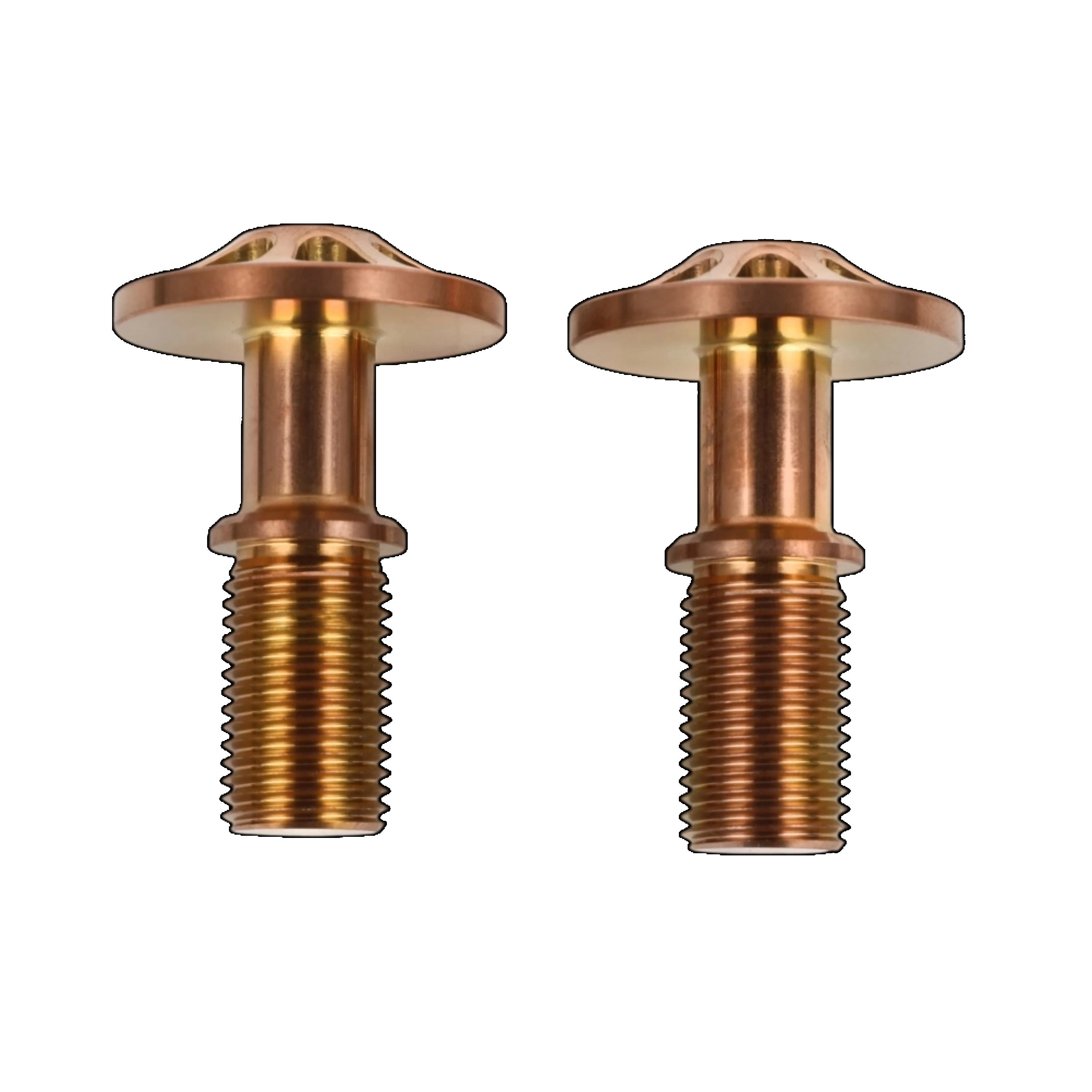 1Pair ILF Recurve Bow Riser Bolts Thread Limbs Screw Hunting