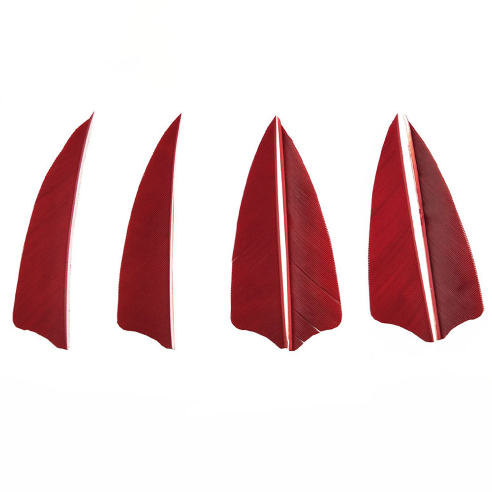 50 pcs 3" Real Feather Shield Vanes — 6 Colors for Archery Arrows