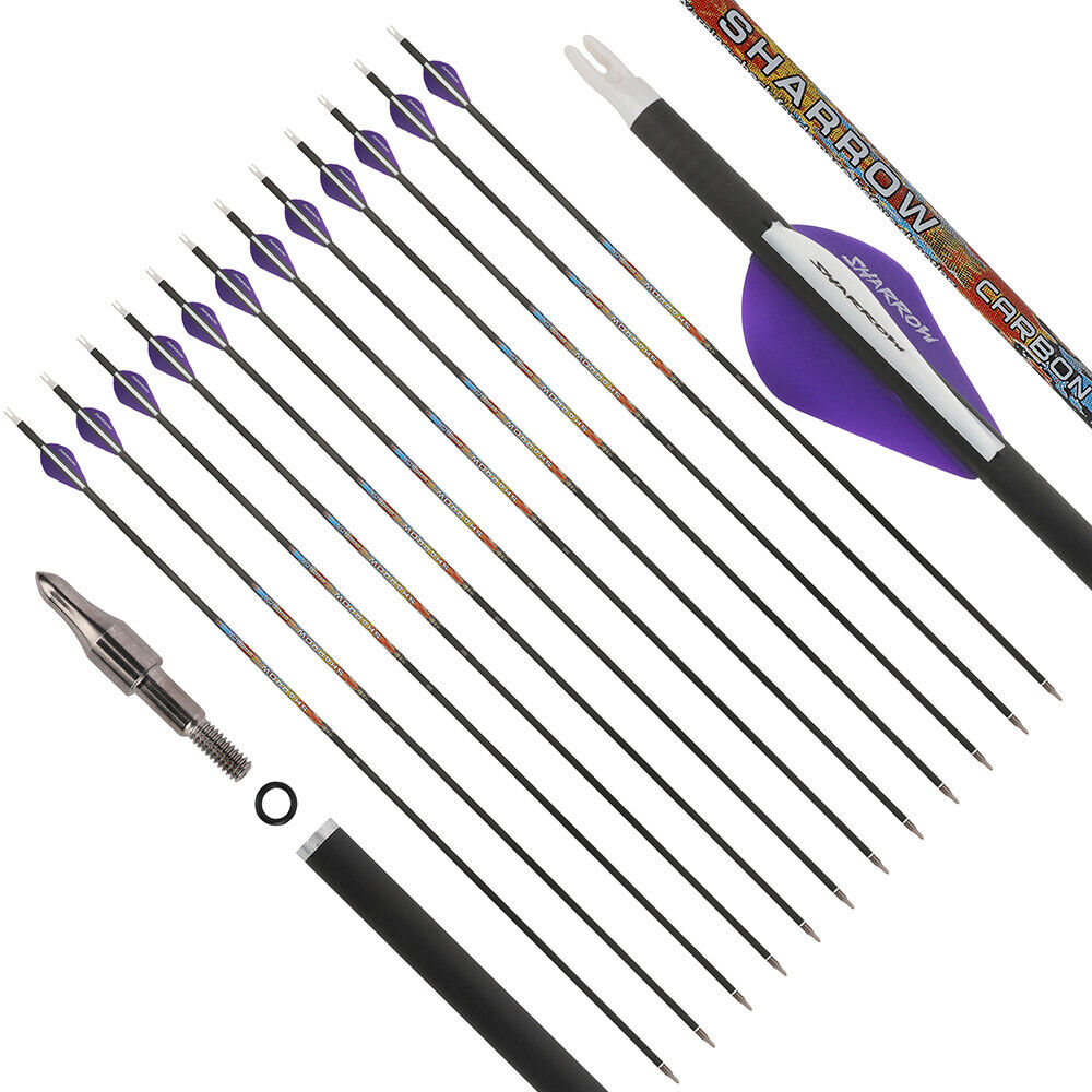 12pcs 31" Pure Carbon Arrows Archery SP250-600 Vanes Compoundbow Recurve Bow Hunting
