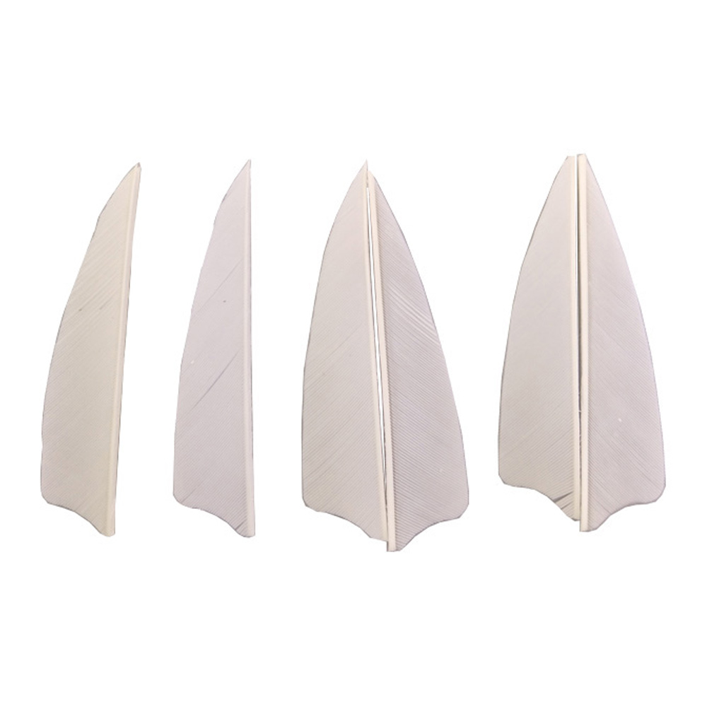 50 pcs 3" Real Feather Shield Vanes — 6 Colors for Archery Arrows