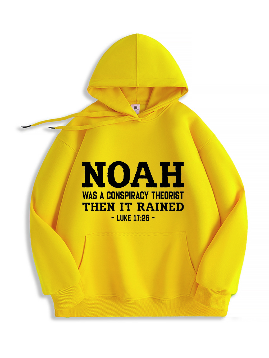 Noah Was a Conspiracy Theorist Hoodie