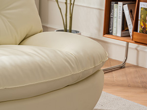 cushion