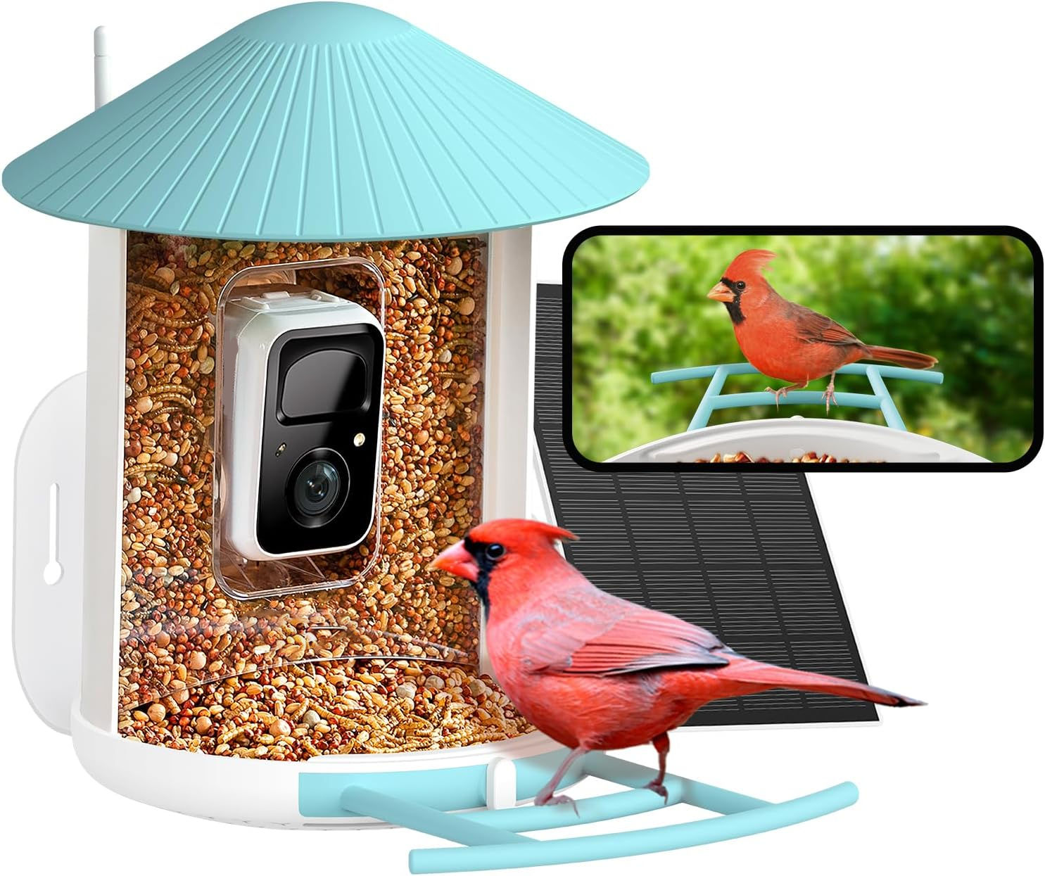 🔥Big Sale🔥Smart Bird Feeder with Camera