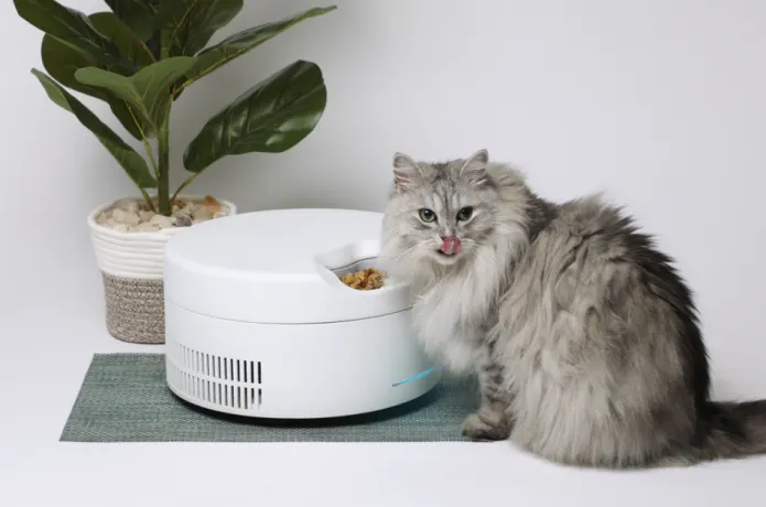 ⏳Last day for clearance🔥Smart pet feeder
