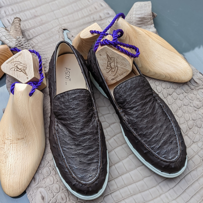 Ascot Cannes - Ostrich