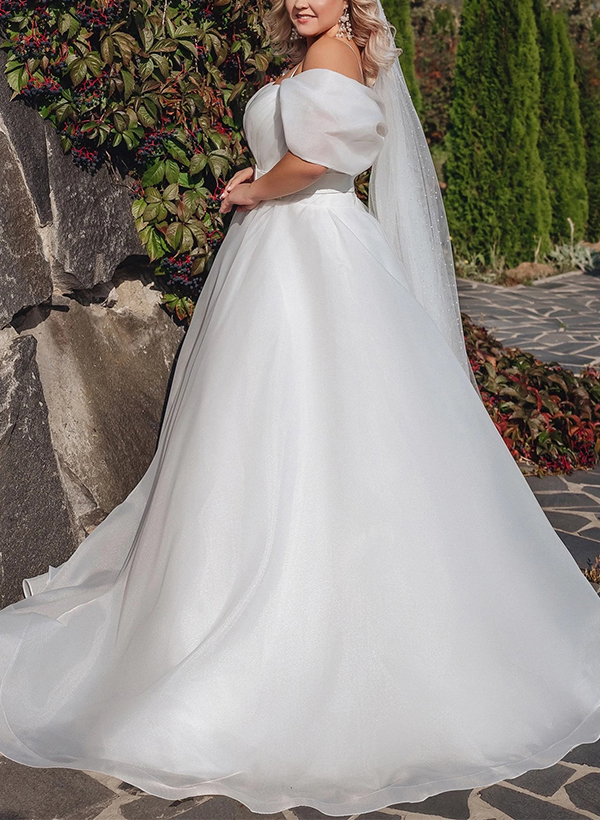 Modern Plus Size A-Line Organza Wedding Dresses With Split Front/Sash, product image 2