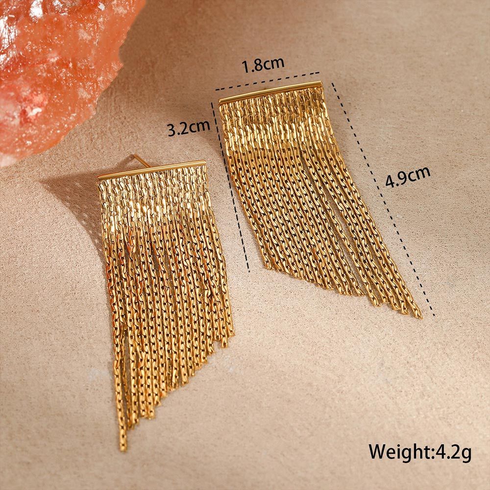 Stainless Steel Dangle Earrings