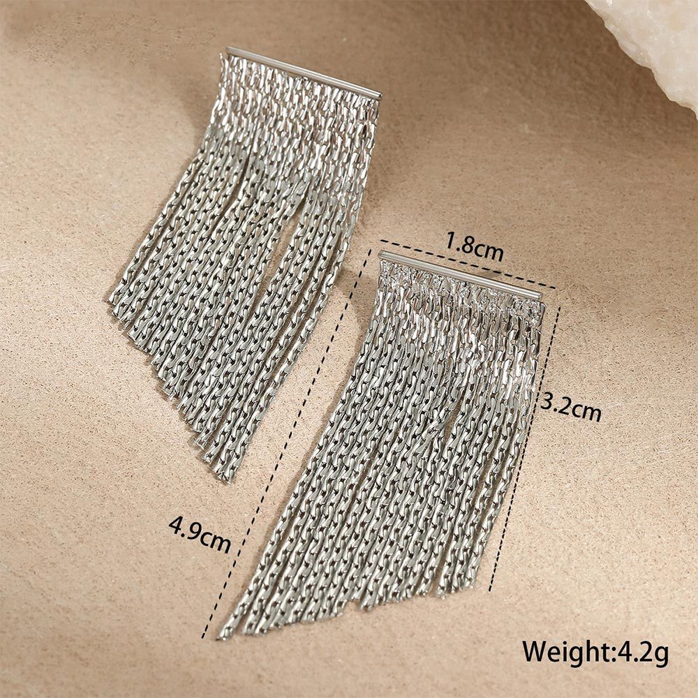 Stainless Steel Dangle Earrings
