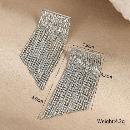 Stainless Steel Dangle Earrings
