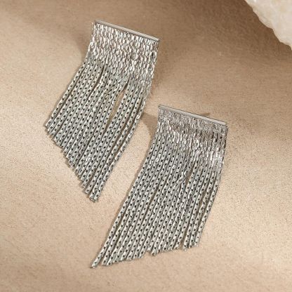 Stainless Steel Dangle Earrings