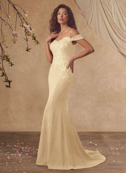 Off-The-Shoulder Elegant Elastic Satin Mother Of The Bride Dresses With Beaded Applique