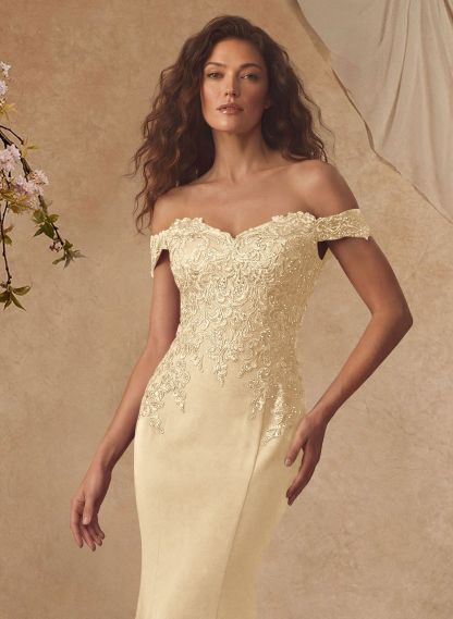 Off-The-Shoulder Elegant Elastic Satin Mother Of The Bride Dresses With Beaded Applique