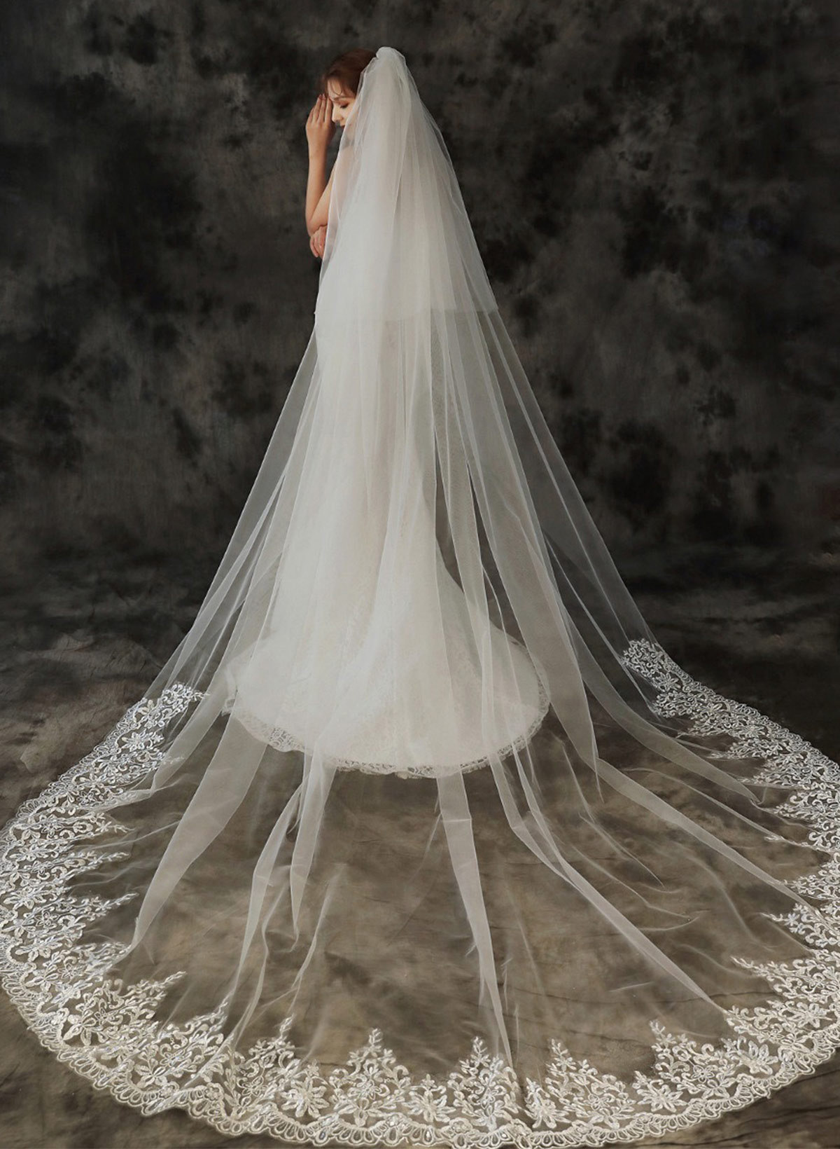 Lace Applique Edge Two-Tier Tulle Cathedral Bridal Veils