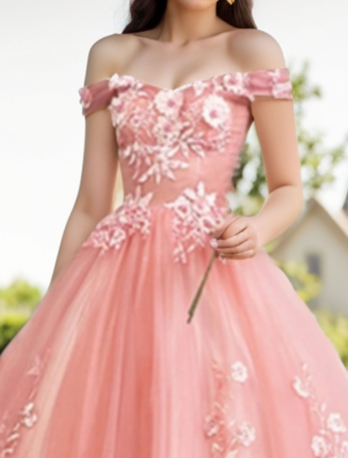 Ball Gown Quinceanera Dresses Princess Dress 