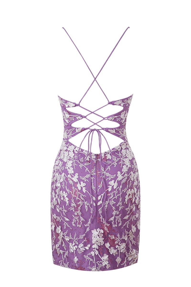 Sheath Short Spaghetti Straps Lace Homecoming Dresses, supplier image 27