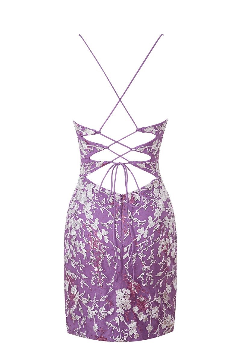 Sheath Short Spaghetti Straps Lace Homecoming Dresses, supplier image 27