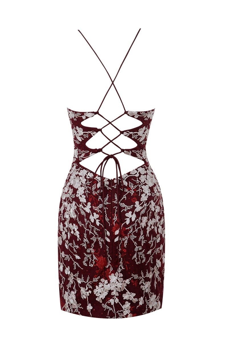Sheath Short Spaghetti Straps Lace Homecoming Dresses, supplier image 33