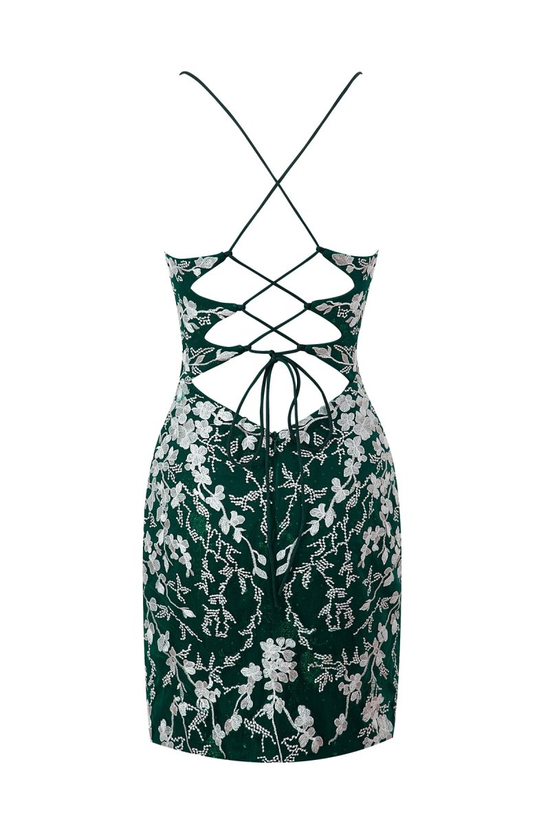 Sheath Short Spaghetti Straps Lace Homecoming Dresses, supplier image 45