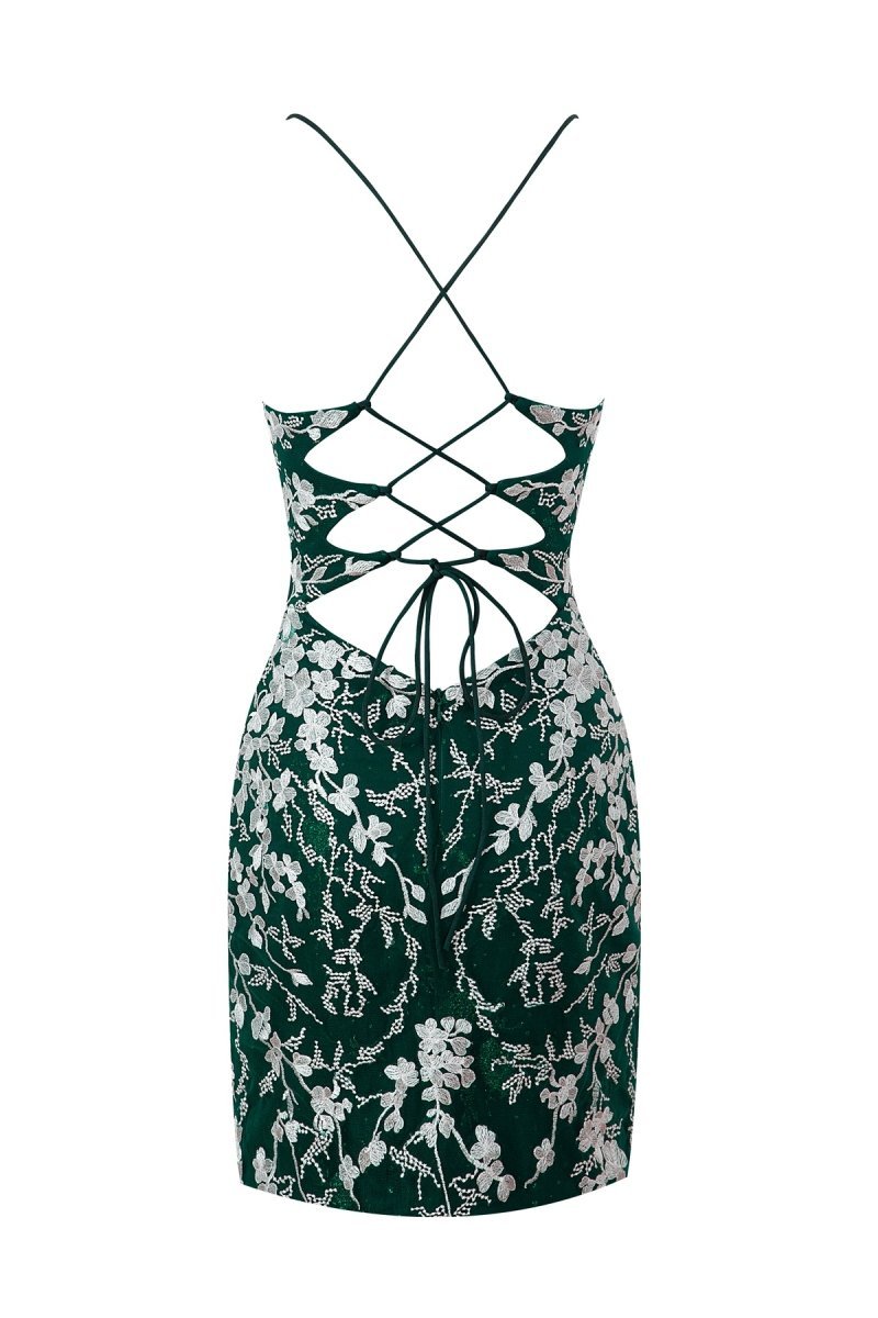 Sheath Short Spaghetti Straps Lace Homecoming Dresses, supplier image 45