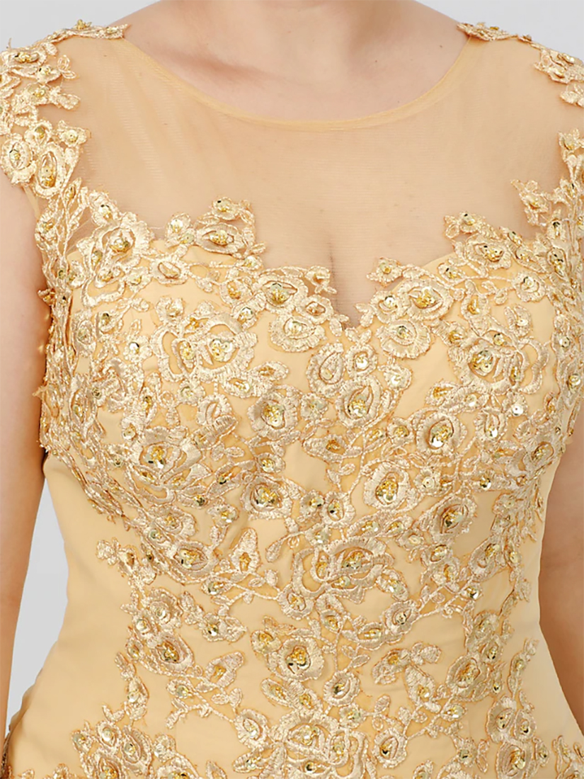 A-Line Elegant Wedding guest dress Lace Sleeveless Mother of the Bride Dresses 